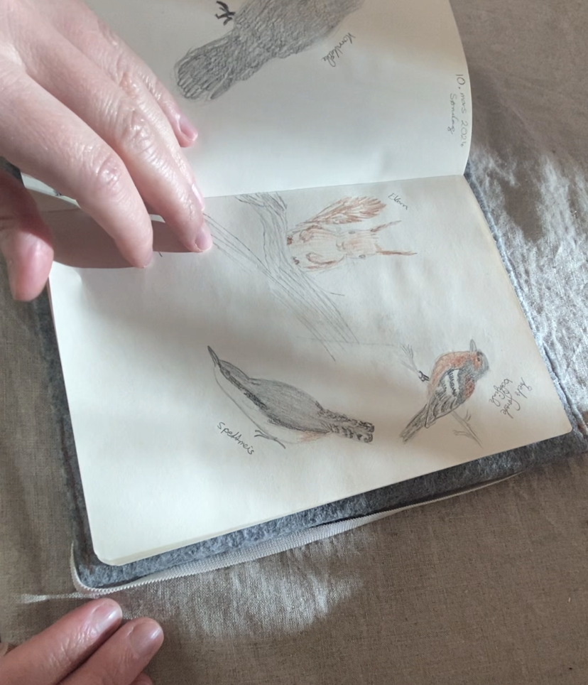 Hvordan skrive naturdagbok